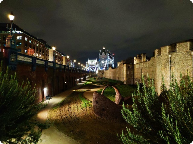 Zdjęcie WhatsApp 2023-03-17 o 20.39.57