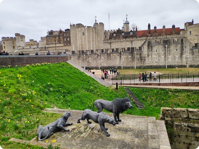 Zdjęcie WhatsApp 2023-03-17 o 20.42.54