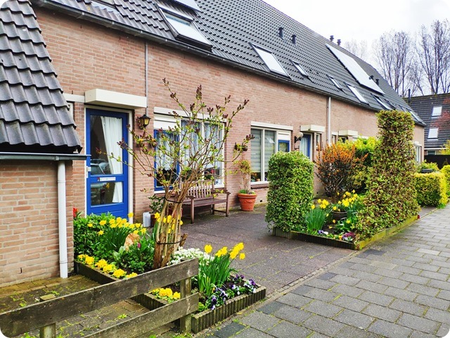 Zdjęcie WhatsApp 2023-03-31 o 21.40.08