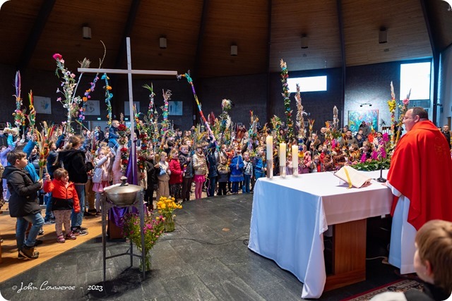 339296884_170348742534595_3820173449992694434_n