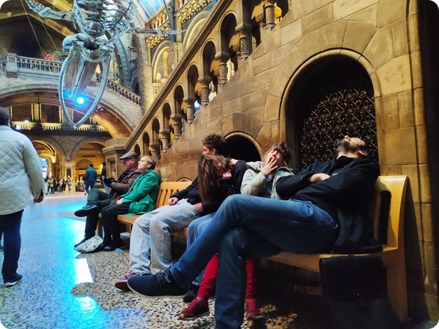 Zdjęcie WhatsApp 2023-04-19 o 19.28.20_2