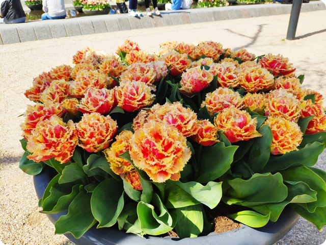 Zdjęcie WhatsApp 2023-05-05 o 19.44.41