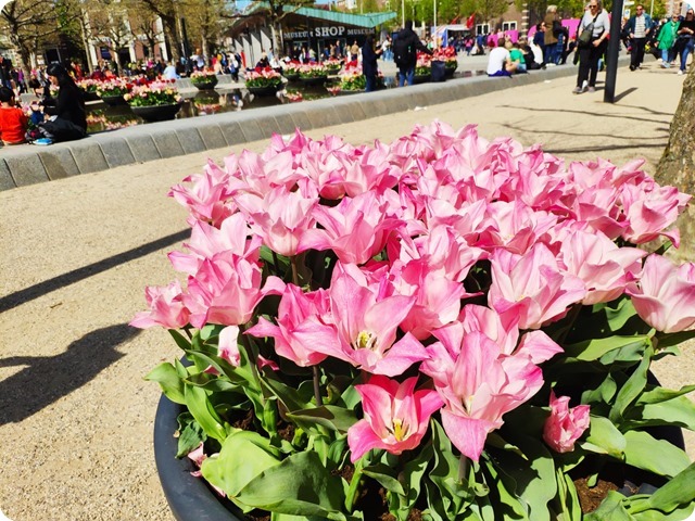 Zdjęcie WhatsApp 2023-05-05 o 19.44.42