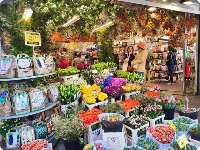 Zdjęcie WhatsApp 2023-05-05 o 19.46.44