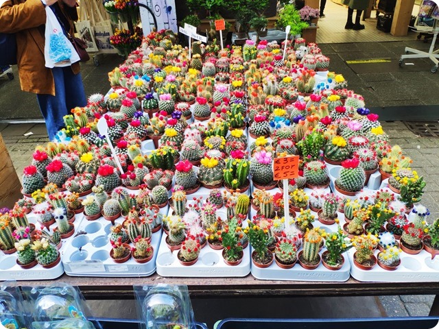 Zdjęcie WhatsApp 2023-05-05 o 19.47.17_2