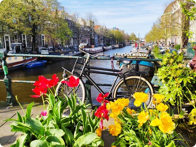 Zdjęcie WhatsApp 2023-05-05 o 19.50.30