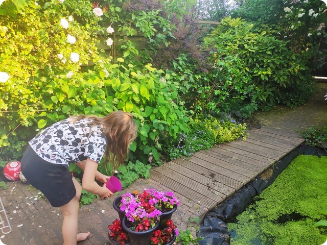 Zdjęcie WhatsApp 2023-06-11 o 21.27.54