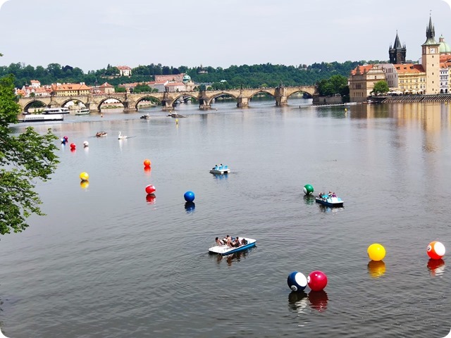 Zdjęcie WhatsApp 2023-06-29 o 21.39.40