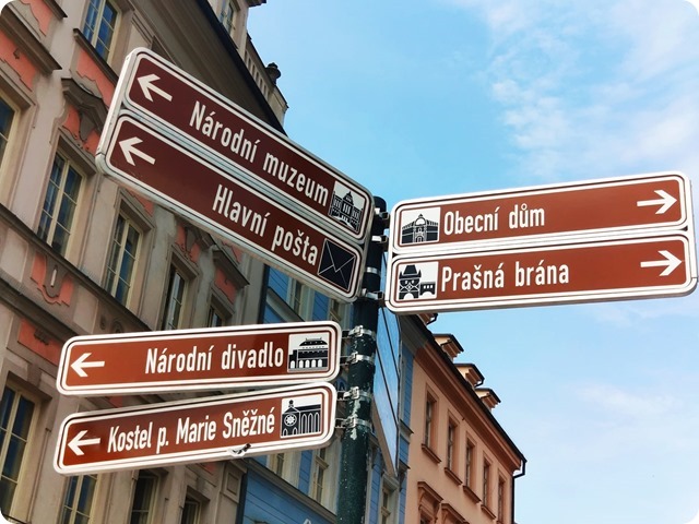 Zdjęcie WhatsApp 2023-06-29 o 21.46.45