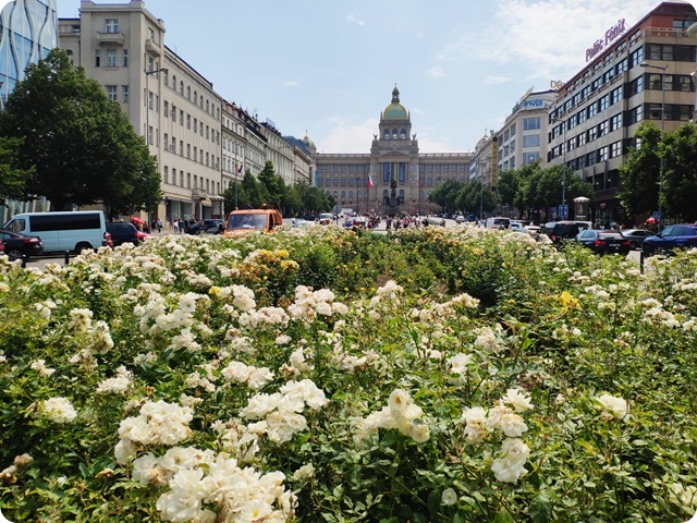 Zdjęcie WhatsApp 2023-07-15 o 16.12.39