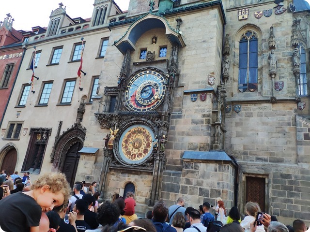 Zdjęcie WhatsApp 2023-07-15 o 16.31.08