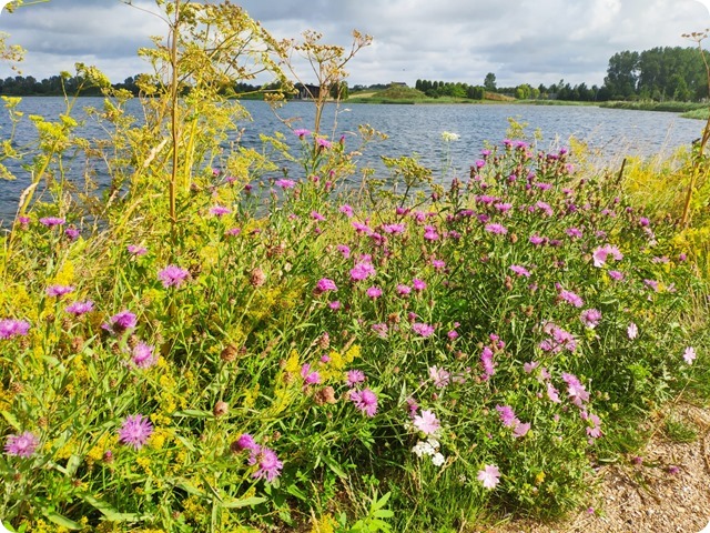 Zdjęcie WhatsApp 2023-07-18 o 21.53.26