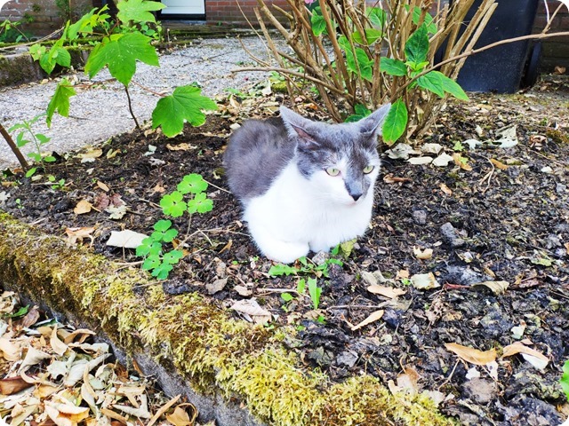 Zdjęcie WhatsApp 2023-07-18 o 21.59.40