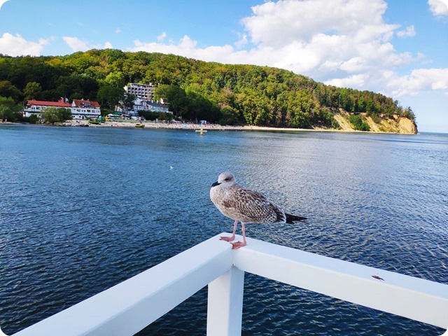 Zdjęcie WhatsApp 2023-10-18 o 19.47.30_3c7bf830