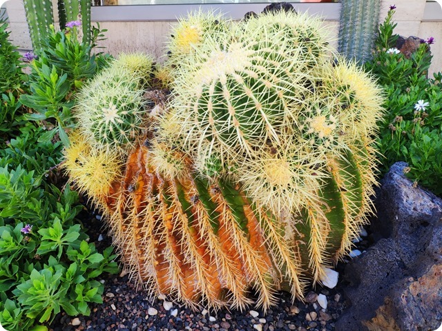 Zdjęcie WhatsApp 2023-10-28 o 20.21.51_f9b10ef0