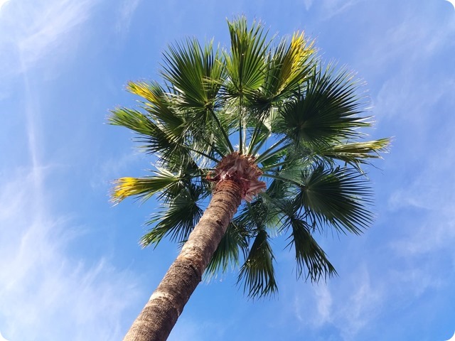 Zdjęcie WhatsApp 2023-10-28 o 20.27.08_4a7b81e1