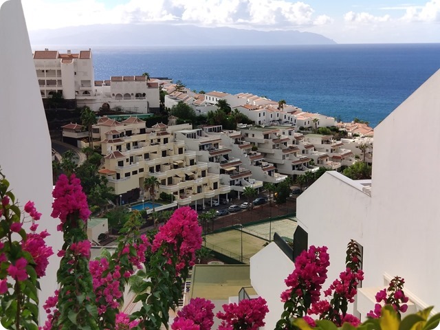 Zdjęcie WhatsApp 2023-10-28 o 20.35.28_a83fd970