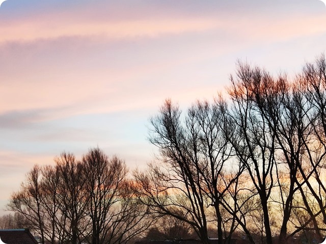 Zdjęcie WhatsApp 2023-12-19 o 20.55.21_27982375