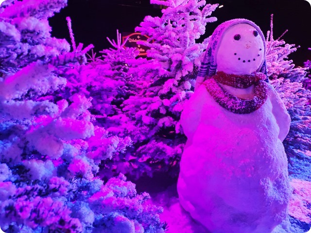 Zdjęcie WhatsApp 2023-12-29 o 15.34.23_00edfaa7