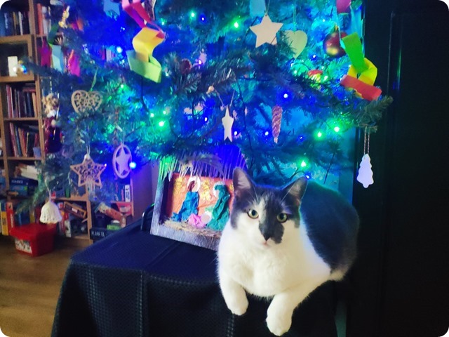 Zdjęcie WhatsApp 2024-01-05 o 15.11.08_f438429f