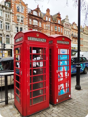 Zdjęcie WhatsApp 2024-01-05 o 18.06.00_4fdd2b7f