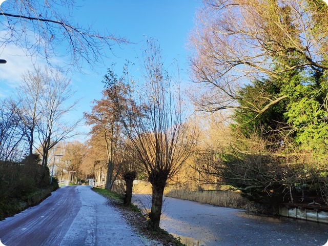 Zdjęcie WhatsApp 2024-01-11 o 10.41.57_ba57e8cb