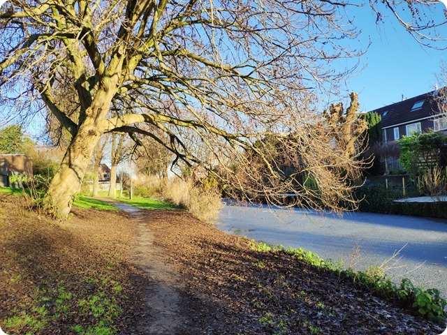 Zdjęcie WhatsApp 2024-01-11 o 10.41.59_354ea542