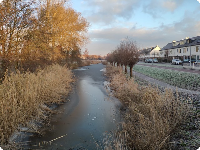 Zdjęcie WhatsApp 2024-01-11 o 10.42.46_071bd18d