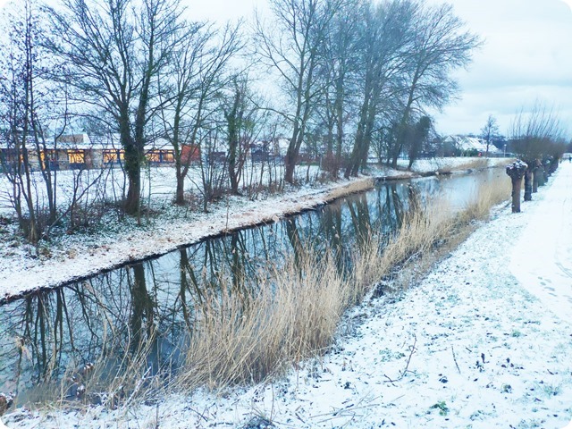 Zdjęcie WhatsApp 2024-01-16 o 17.01.55_77205ebe