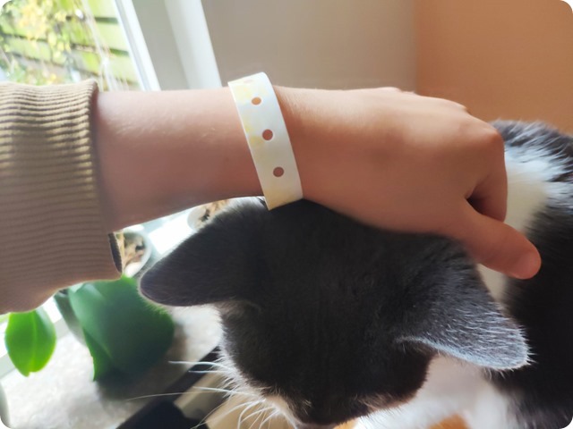 Zdjęcie WhatsApp 2024-01-28 o 16.54.44_d92b280a