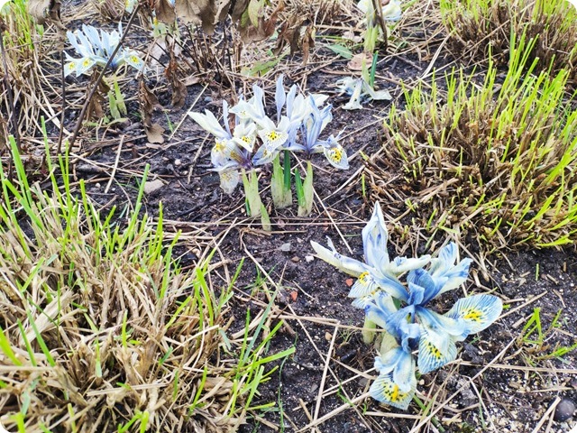 Zdjęcie WhatsApp 2024-02-14 o 21.58.16_5c47596f