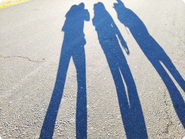 Zdjęcie WhatsApp 2024-03-19 o 18.54.11_88bcc828