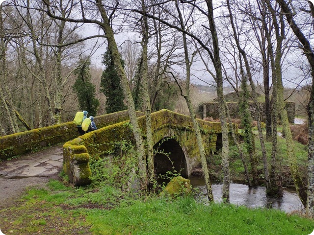 Zdjęcie WhatsApp 2024-03-19 o 19.00.49_1e52a2ab