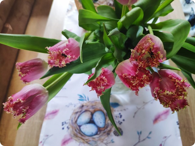 Zdjęcie WhatsApp 2024-03-30 o 19.21.49_192d08f5