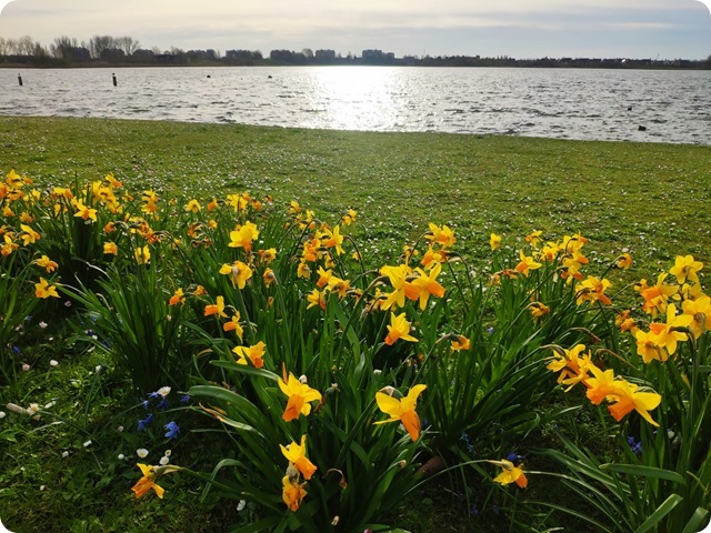 Zdjęcie WhatsApp 2024-03-30 o 19.36.55_dcb0941a