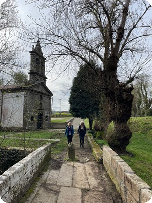 Zdjęcie WhatsApp 2024-04-11 o 20.53.34_015d5cc9