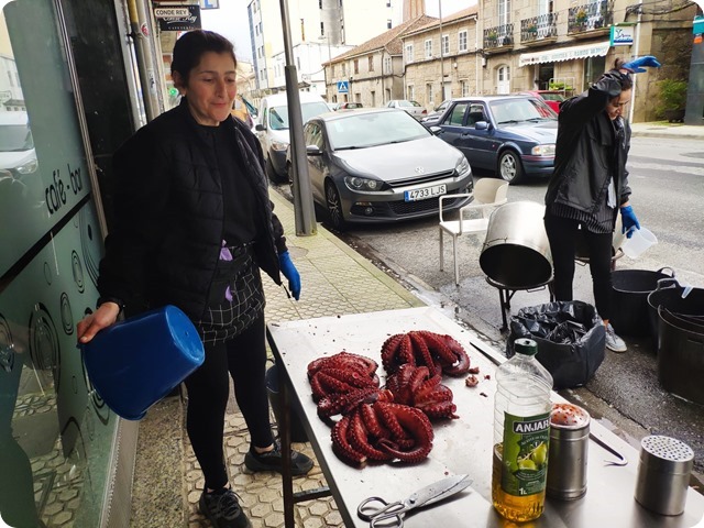 Zdjęcie WhatsApp 2024-04-15 o 16.40.46_bbc6967b