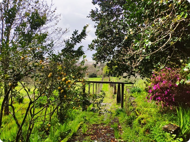 Zdjęcie WhatsApp 2024-04-15 o 17.13.50_f751967c