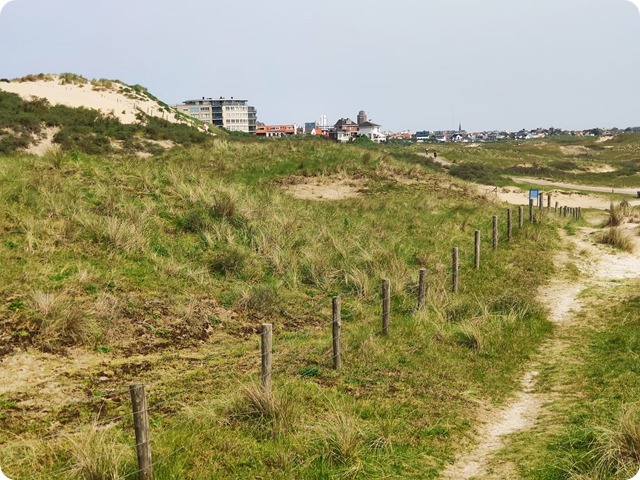 Zdjęcie WhatsApp 2024-05-13 o 15.25.24_cf24e9d3