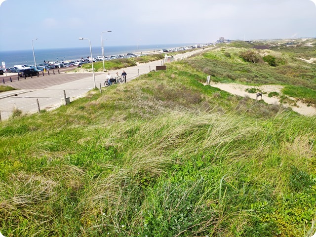 Zdjęcie WhatsApp 2024-05-13 o 15.27.19_04a92a94