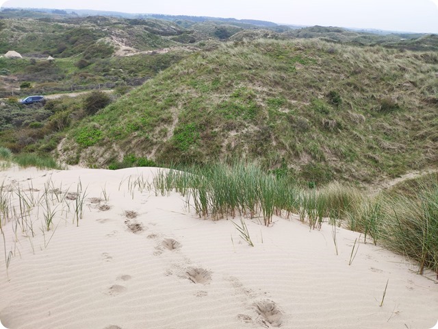 Zdjęcie WhatsApp 2024-05-13 o 15.27.19_145dc06a