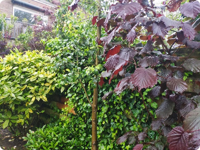 Zdjęcie WhatsApp 2024-06-10 o 21.44.21_6bbb4ac0