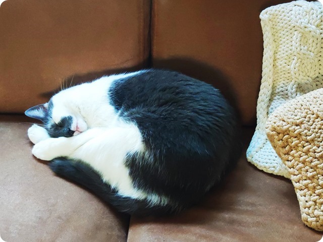 Zdjęcie WhatsApp 2024-08-16 o 22.57.11_cd783fe7