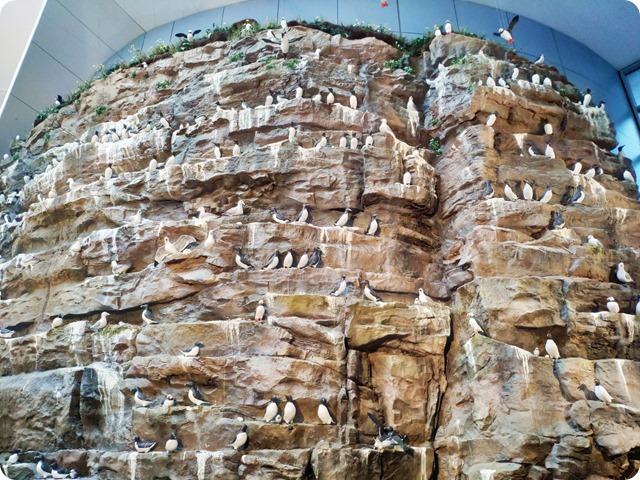 Zdjęcie WhatsApp 2024-09-15 o 19.54.07_0107c57c