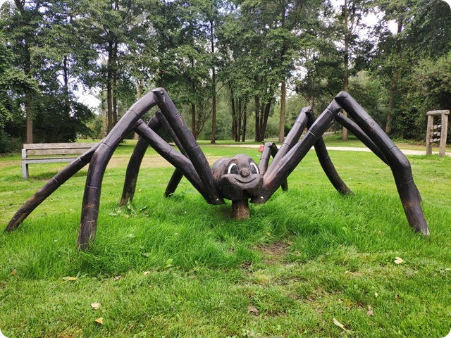 Zdjęcie WhatsApp 2024-09-23 o 21.45.44_ed06f1a1