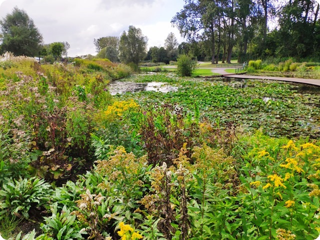 Zdjęcie WhatsApp 2024-09-23 o 21.46.08_2ef2e7ff