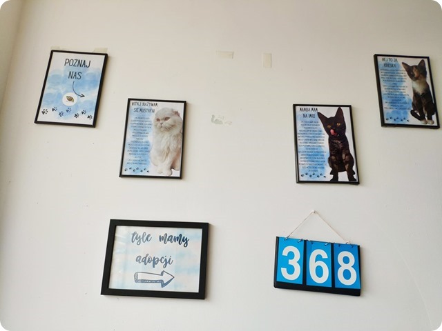 Zdjęcie WhatsApp 2024-09-28 o 21.43.18_4b537ddf