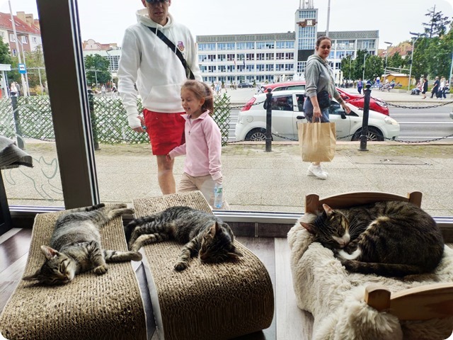 Zdjęcie WhatsApp 2024-09-28 o 21.43.45_c89f5935