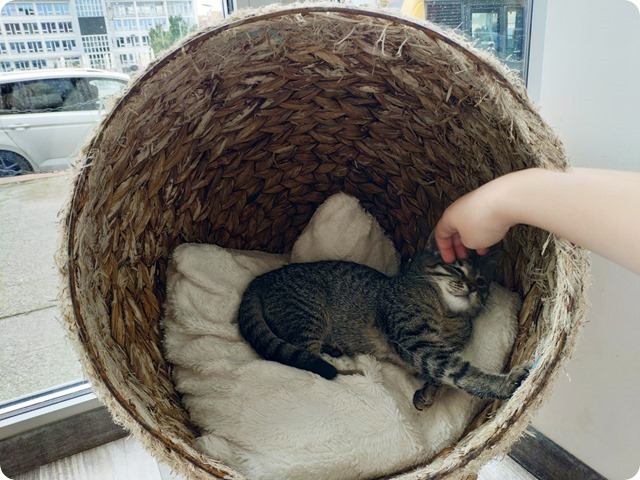 Zdjęcie WhatsApp 2024-09-28 o 22.32.31_d2e65376