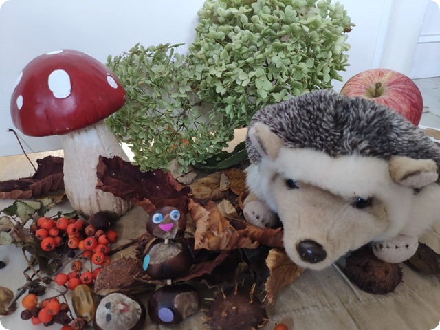 Zdjęcie WhatsApp 2024-10-11 o 19.10.45_ce82d305